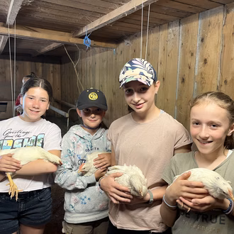 Kiki auf dem Bauernhof